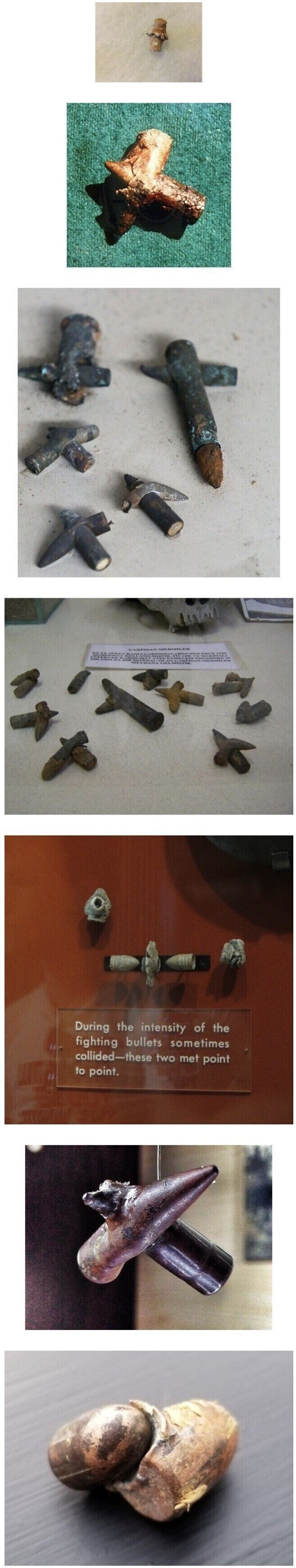 발생 확률이 1억분의 1이라는데 엄청 발견대는거_1.jpg