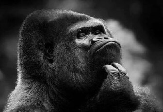 Mcu) 스포) 찌라시) 둠스데이 근황_12.jpg