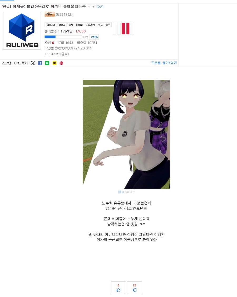 버튜버)라디유 음해사건 정리_4.jpg