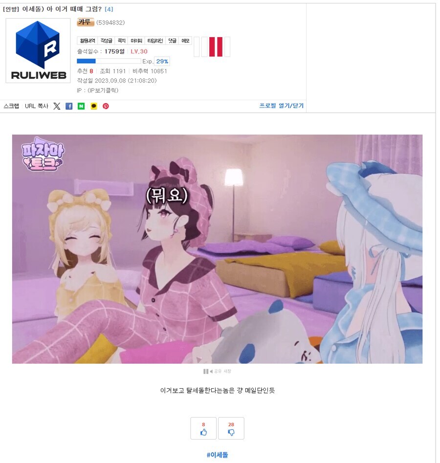 버튜버)라디유 음해사건 정리_5.jpg