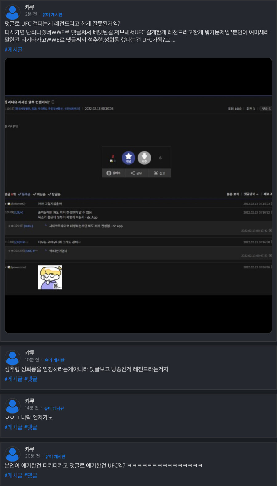 버튜버)라디유 음해사건 정리_8.jpg