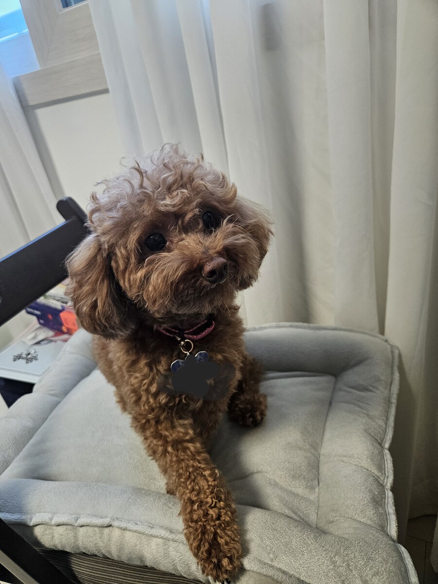 출근 안했는데 출근하기싫다_1.jpg