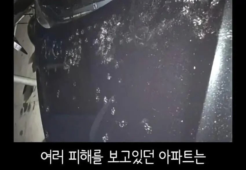 아파트에서 캣맘을 사라지게 한 묘수.JPG_2.jpg