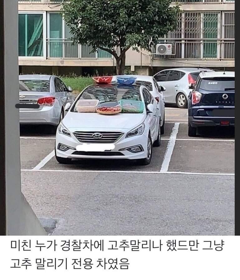 경찰차 위에 고추 말리는 아파트 주민...jpg_1.jpg