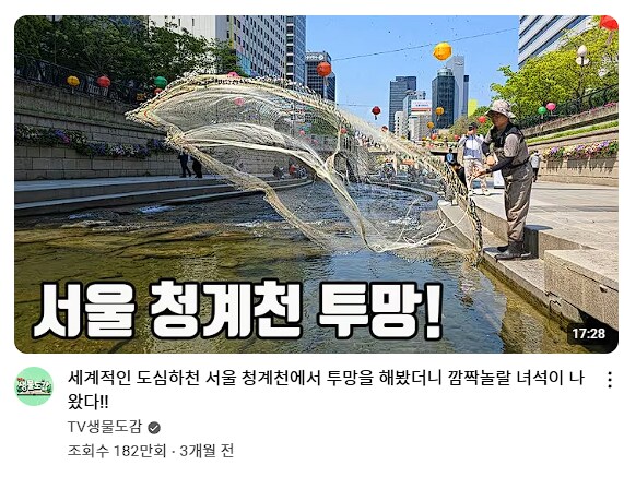 도 넘은 유튜브. 청계천에 투망질하다_1.png