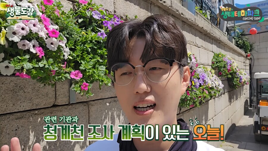 도 넘은 유튜브. 청계천에 투망질하다_2.png