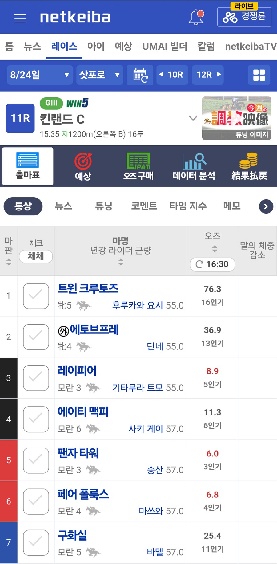 말딸, 경마)봇치의 야추는 무사할 것인가?_1.png