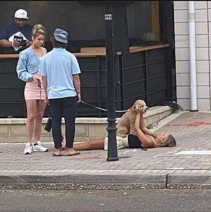 사람이 좋은타입과 멍멍이가 좋은 타입.jpg_1.jpg