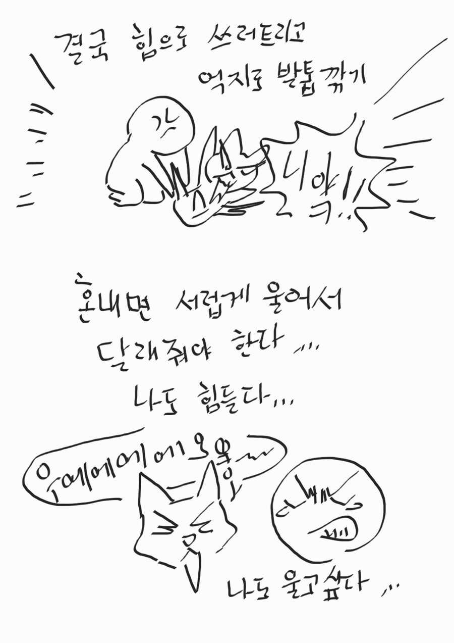 ㅅㅂ 똥꼬양이랑 대판 싸웠다 질문 안받는다_3.jpg