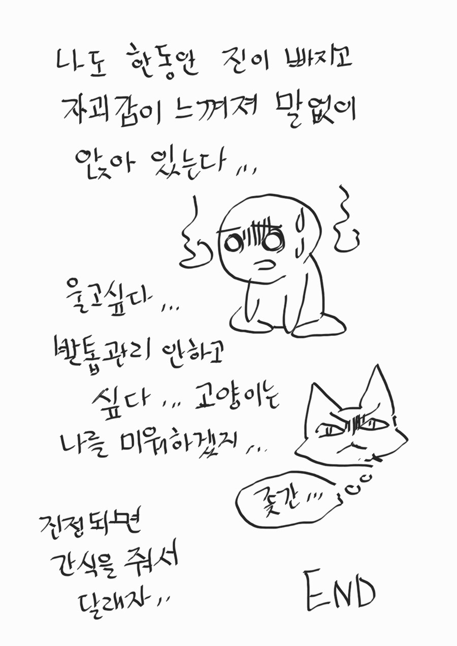 ㅅㅂ 똥꼬양이랑 대판 싸웠다 질문 안받는다_5.jpg