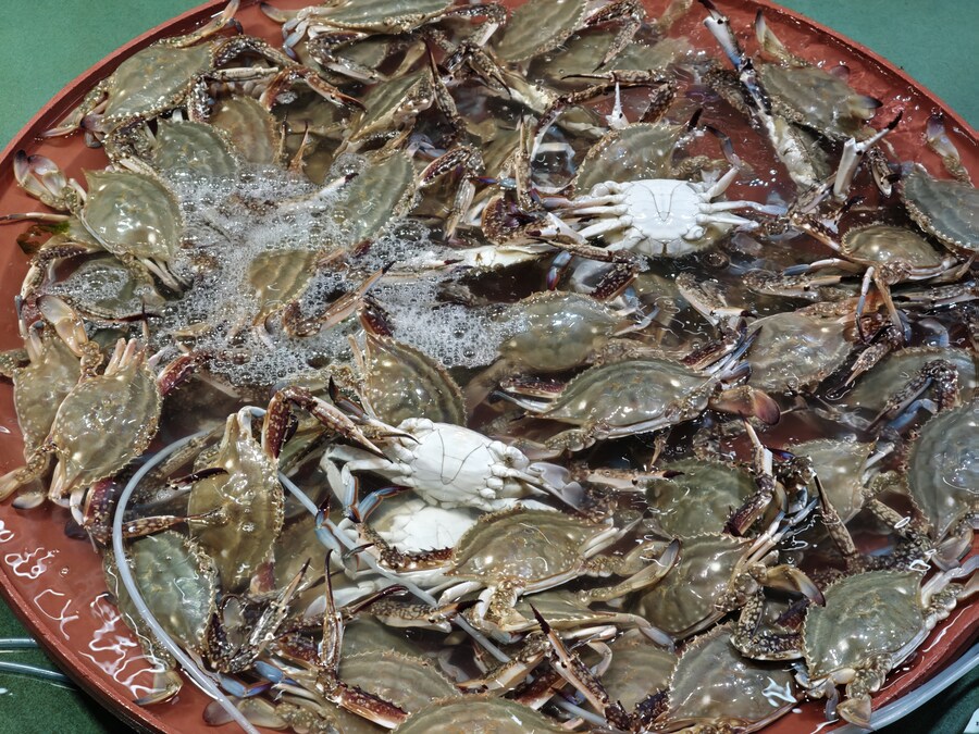 꽃게철이 되었습니다._2.jpg