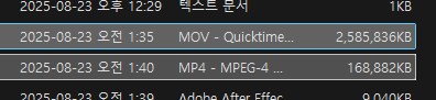 ai가 왜 사진 동영상를 작업하기 힘든지 간단 설명_2.png