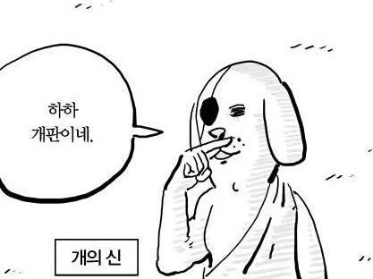 운전 대충 8년째 하면서 느끼는거_1.webp