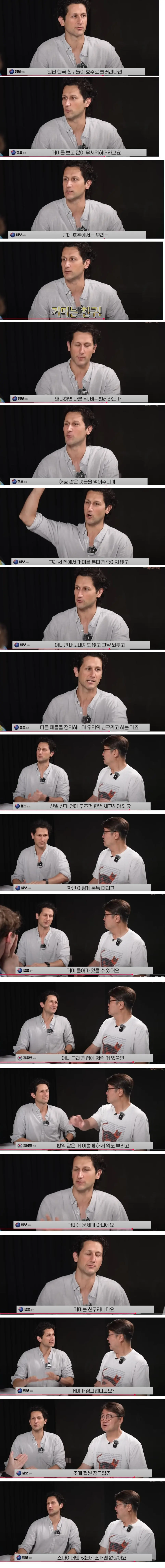 약혐) 호주인들의 거미에 대한 인식_1.webp