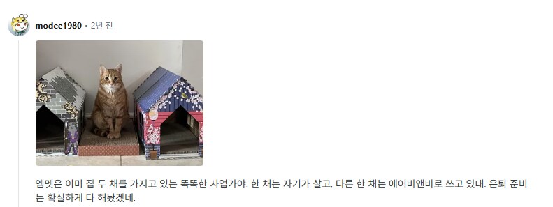집사들아 너네가 데리고 있는 사람 이름을 가진 고양이들을 보여줘.jpg_4.png