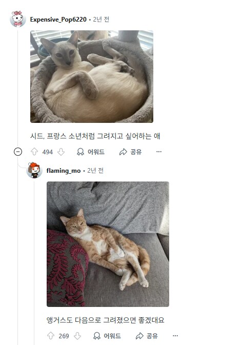 집사들아 너네가 데리고 있는 사람 이름을 가진 고양이들을 보여줘.jpg_5.png