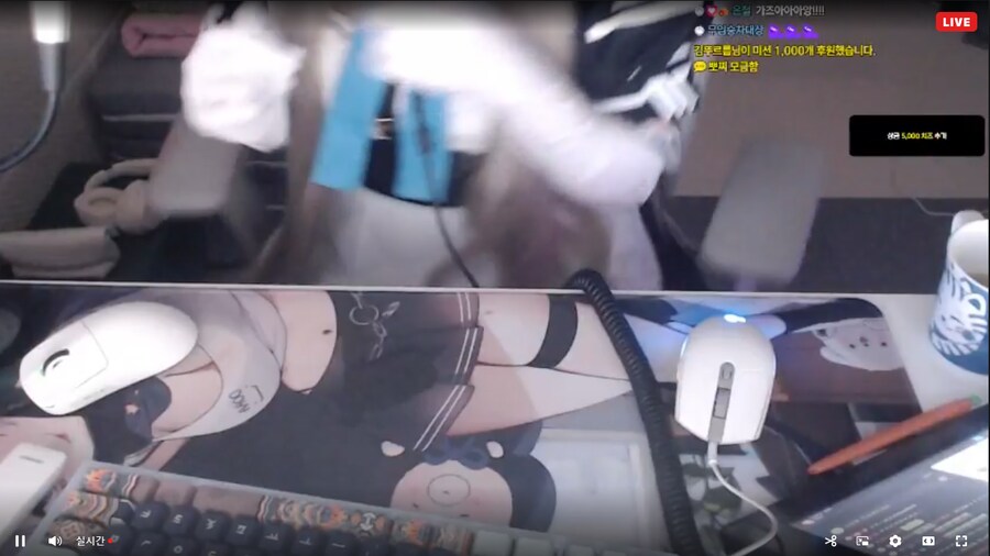 버튜버) 드디어 도라대장 아스나 등장_1.png