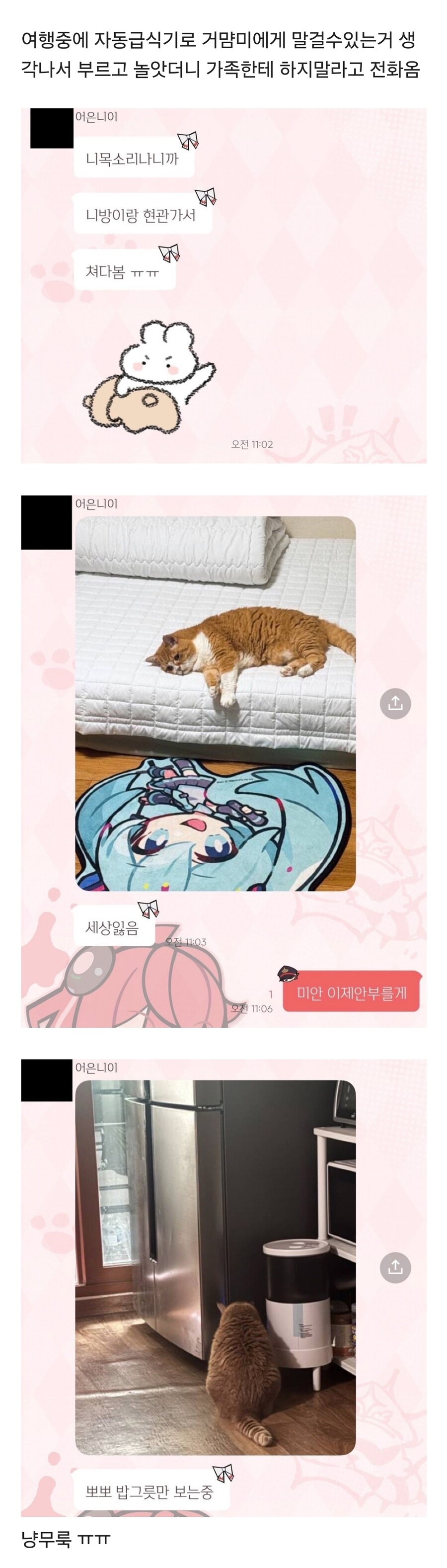 여행 갔을때 고양이한테 목소리만 들려주면 안되는 슬픈 이유_1.jpg