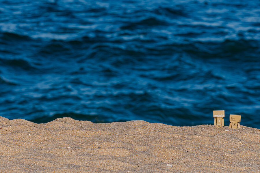 단보 사진 몇장_11.jpg