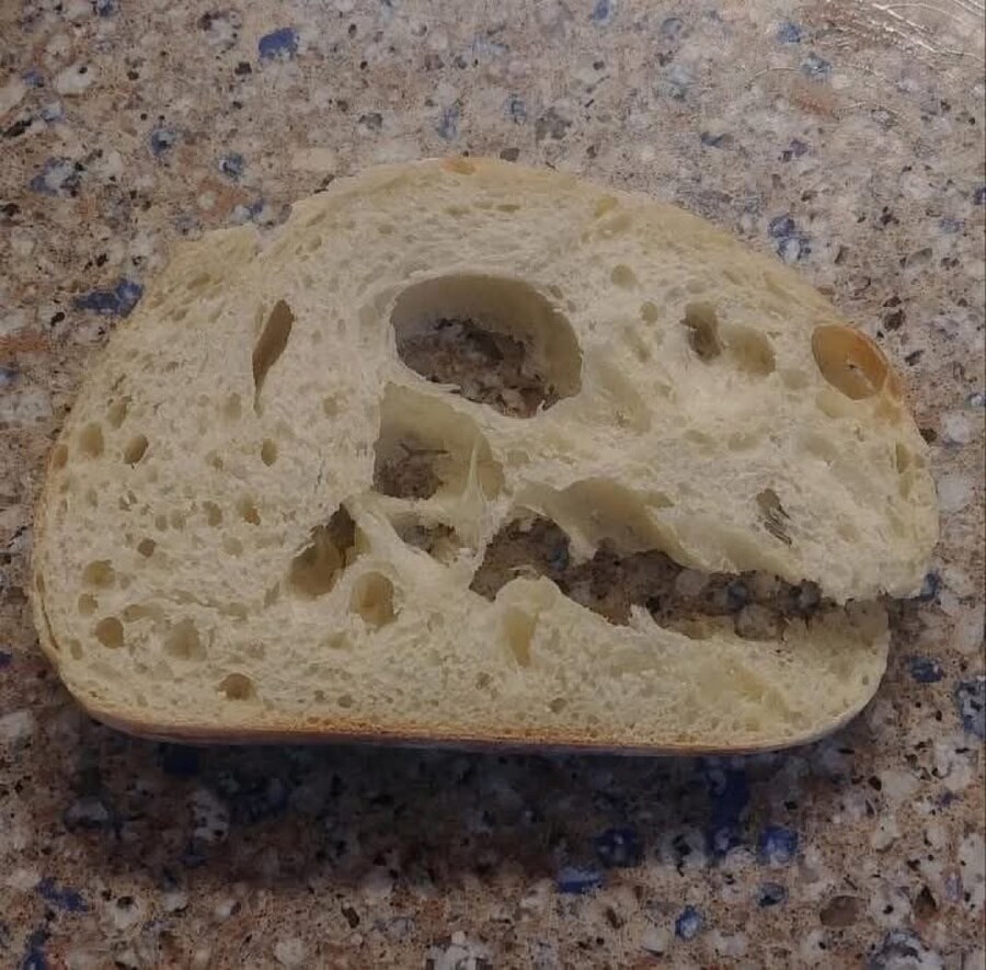 민가에서 발견된 화석_1.jpg