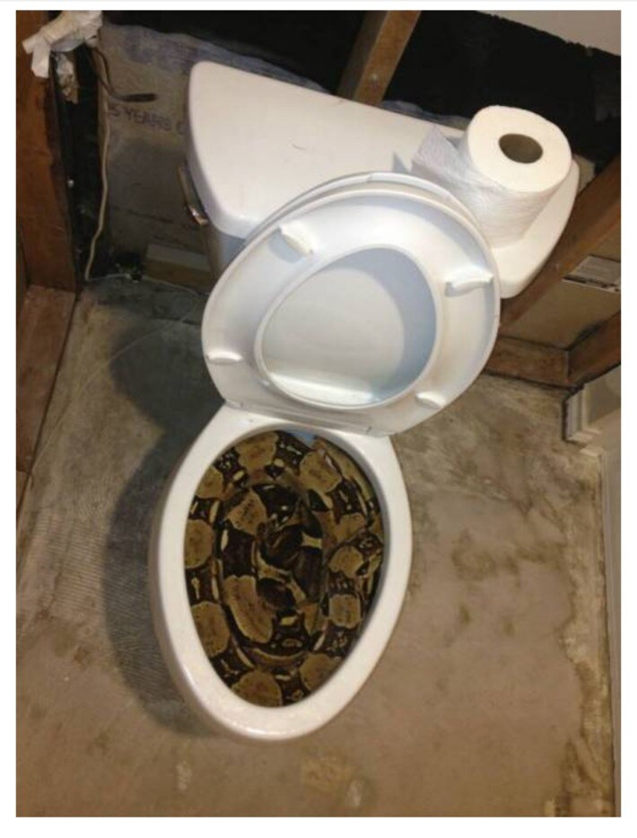 얘들이 술토 짤에 정신을 못차리네_1.jpg