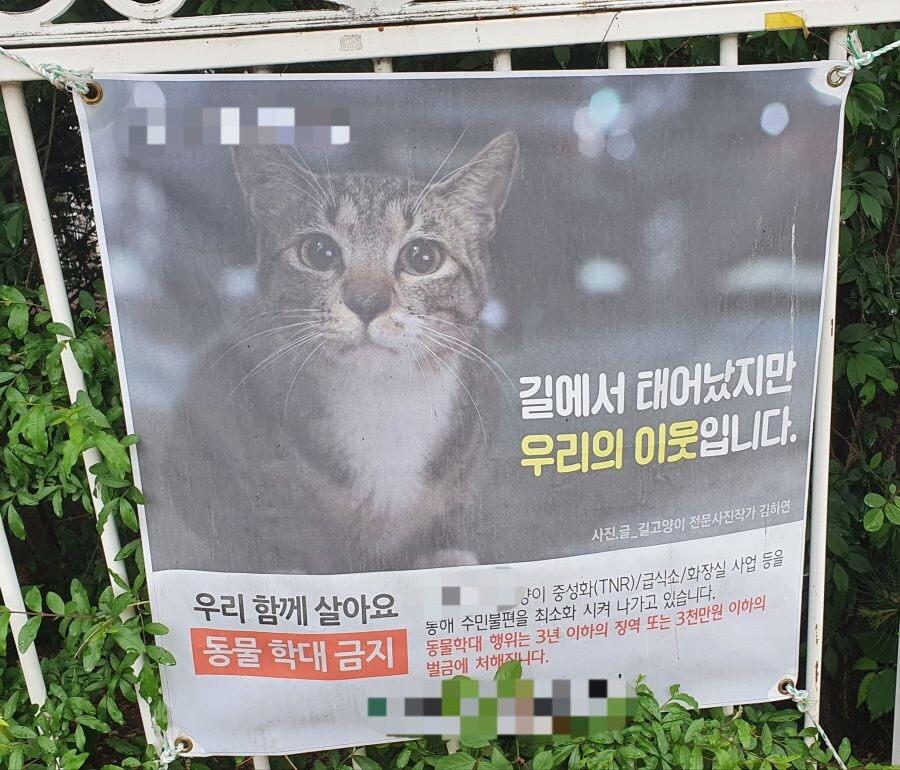 ??? : 길에서 태어났지만 우리의 이웃입니다_1.jpg