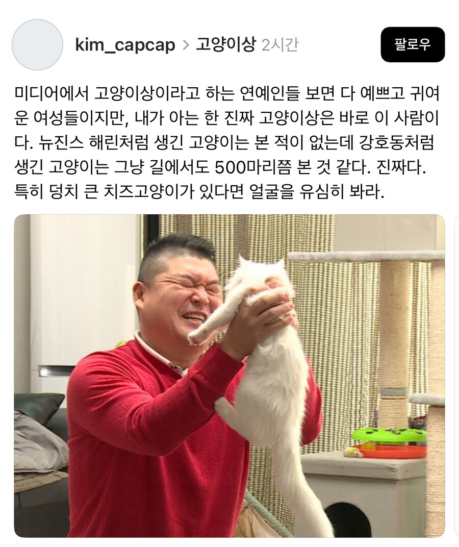 진짜 고양이상 얼굴.jpg_1.jpg