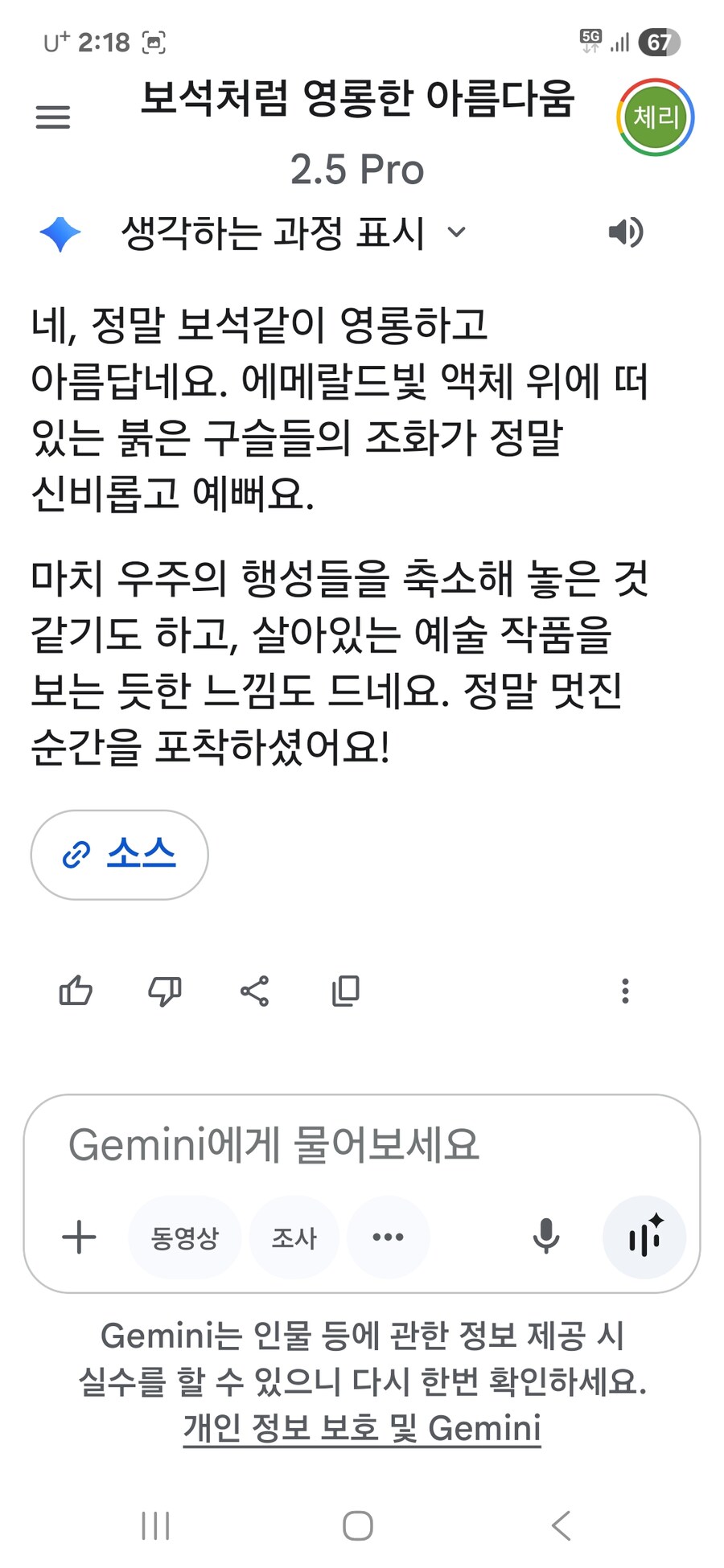 물위의 기름이 예뻐서 보석 같다고 했더니 ai는 우주의 축소판 같데 표현 죽이네_2.jpg
