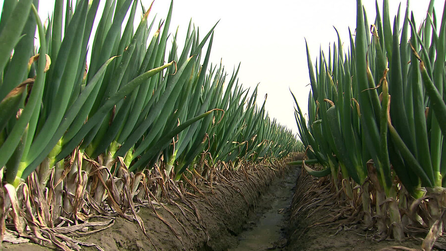 좌파 vs 우파_1.jpg