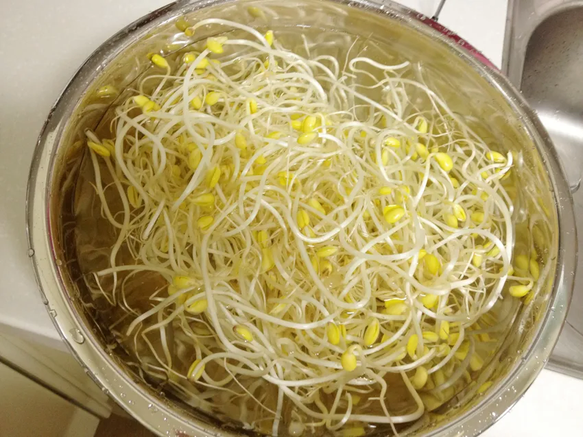 나이먹으면 급격히 좋아지는 채소_1.webp