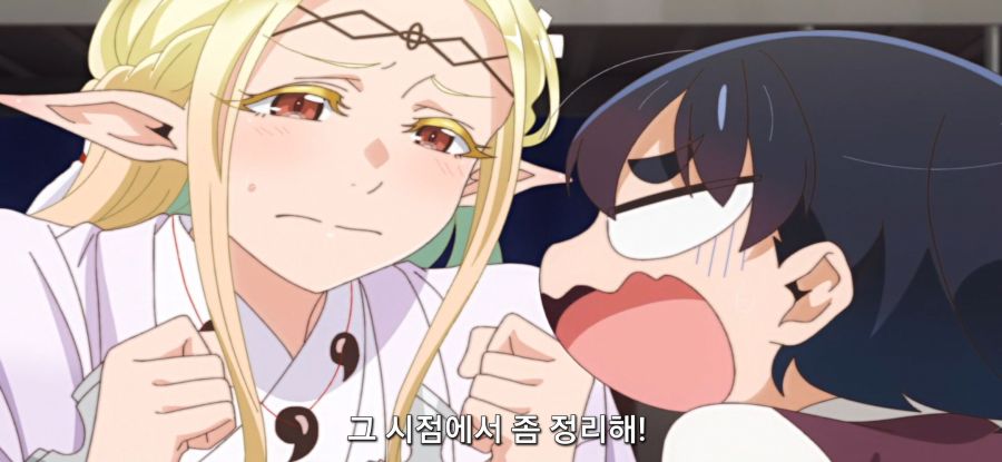 [오타쿠 엘프] 스압 대청소_20.jpg