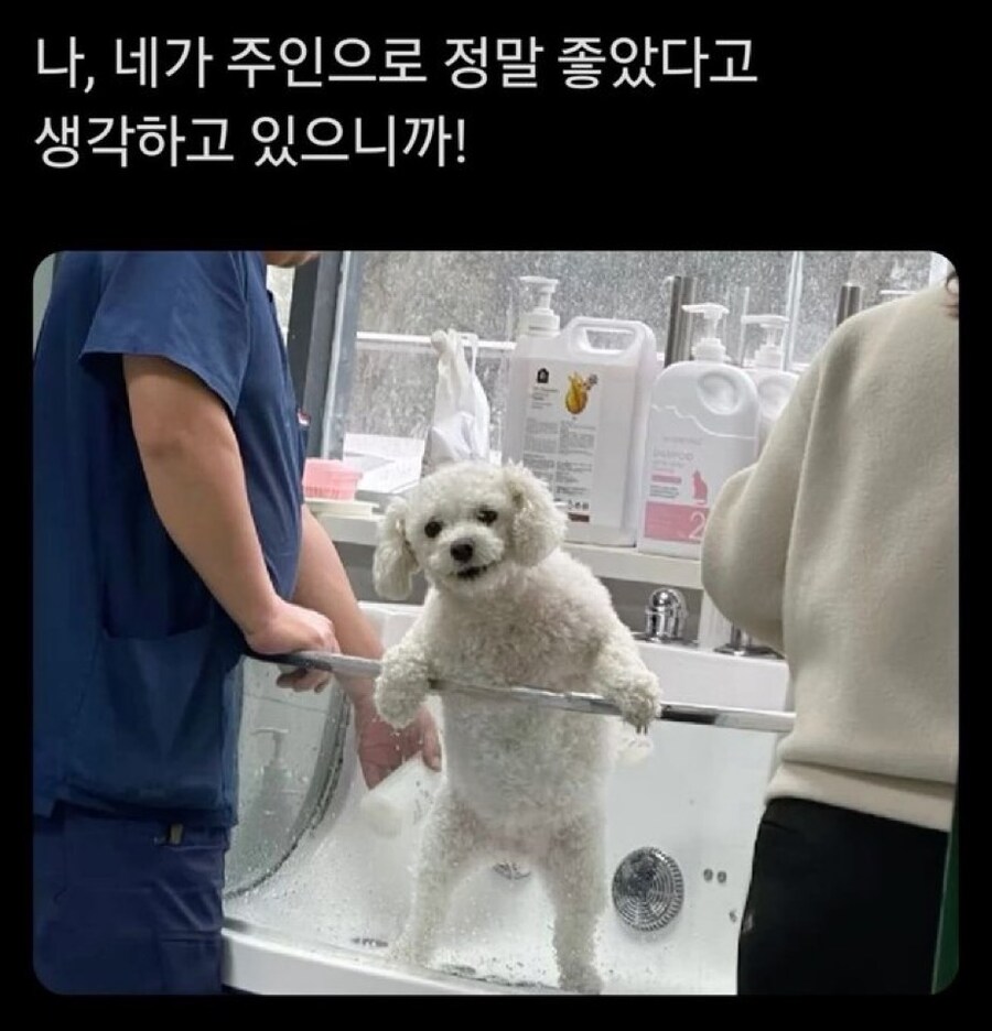 마왕성 마지막 사천왕에서 자기희생하는 동료_1.jpg