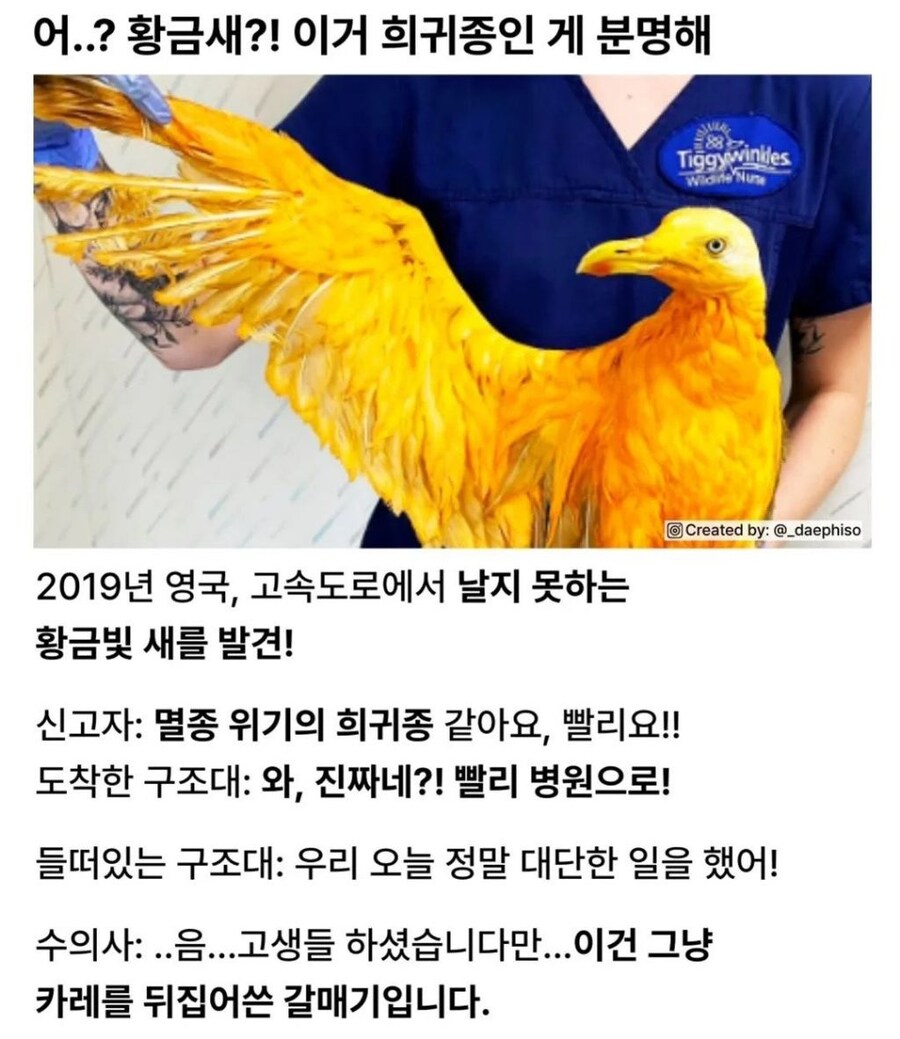 드디어 전설의 황금새를 GET 했다아아아~!!!_1.jpg