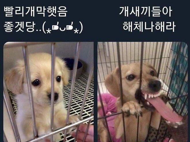 후기_2.png