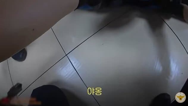 야옹_3.png