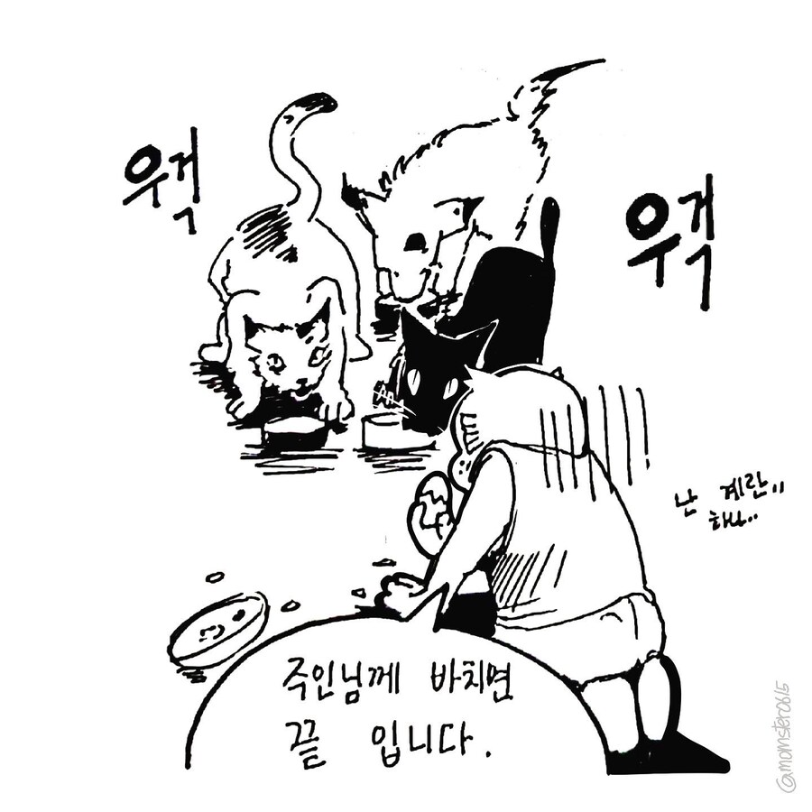 요리_9.jpg