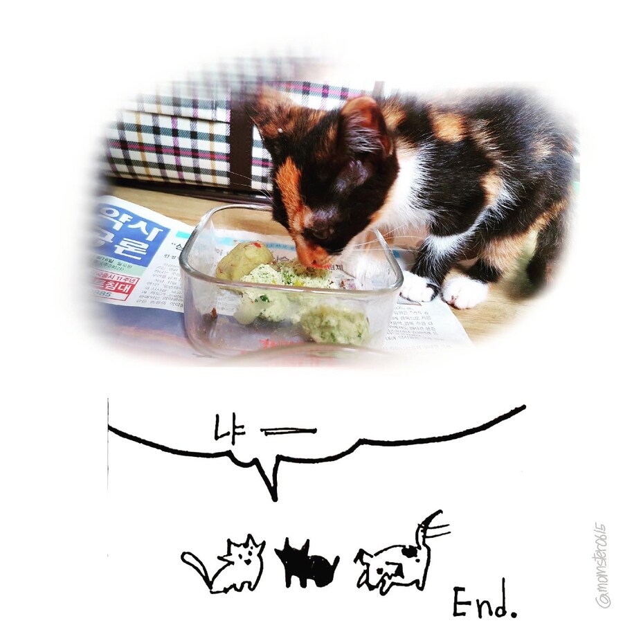 요리_10.jpg
