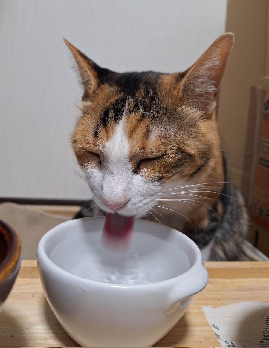 물을 많이 먹으렴_1.jpg