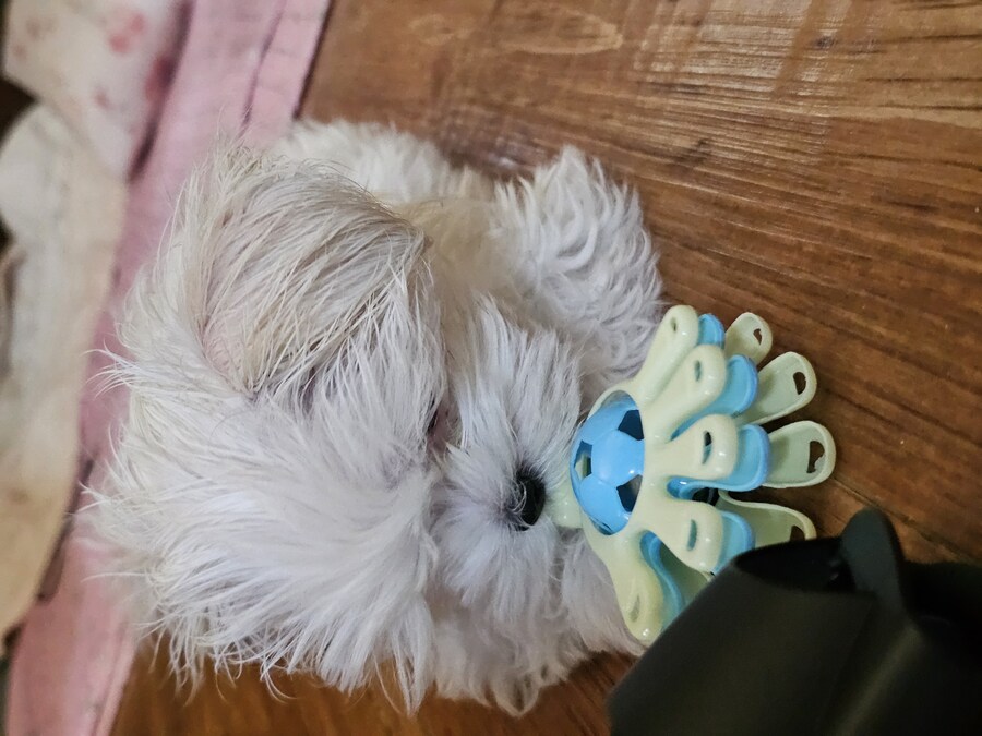 9월 4일까지 엔딩 한번은 볼수있을지.._2.jpg