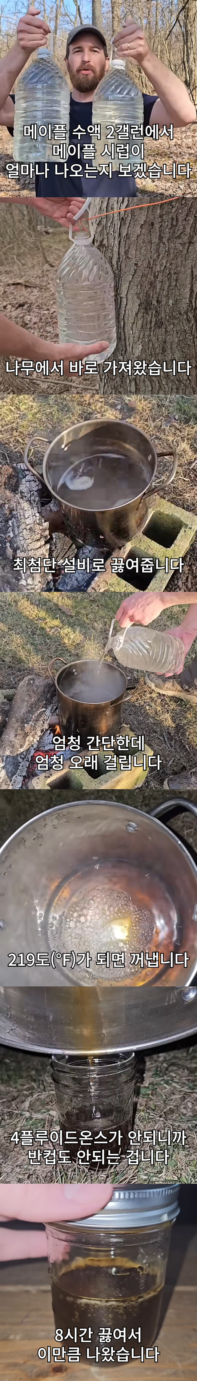 메이플 시럽이 비싼 이유