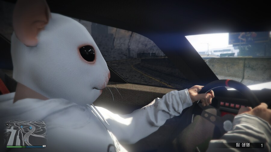 Gta 5 🐭 🐱_2.png