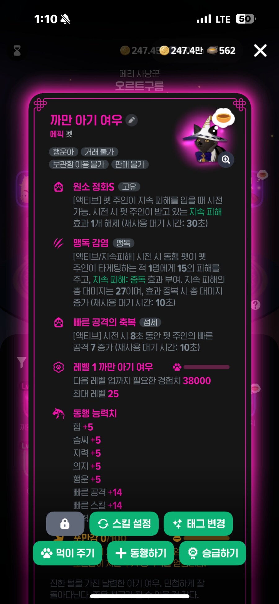 모비노기) 월요일 현란함 정가후 장비 세팅 좀.._4.png