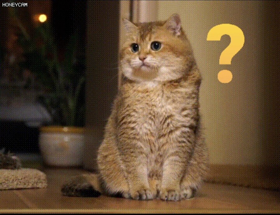 블아)바이시클 카드 이제 봤는데 그냥 살 수 있는거?_1.jpg