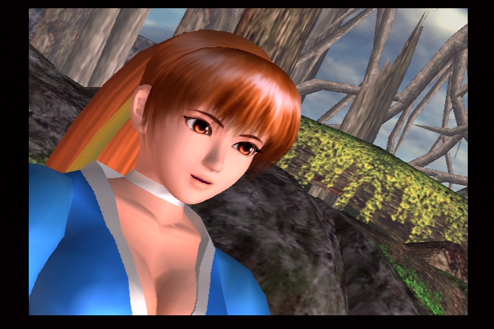 DEAD OR ALIVE 2_35.jpg