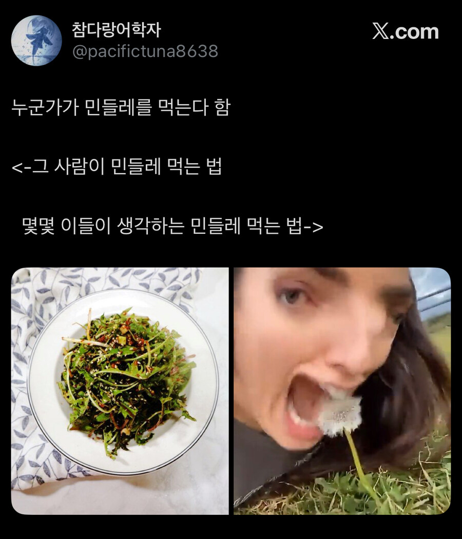 보리 감자 민들레_3.jpg