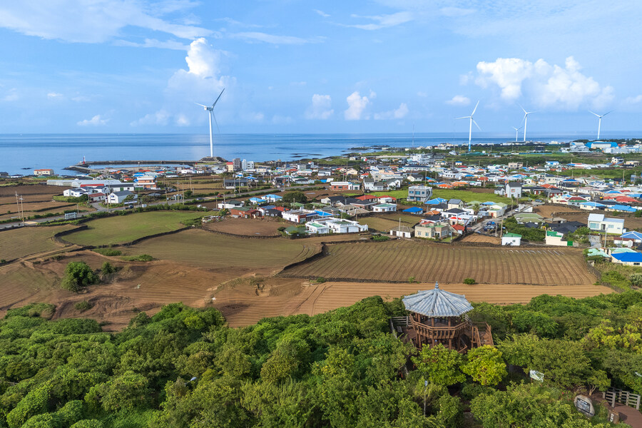 제주 월정리 드론샷_9.jpg