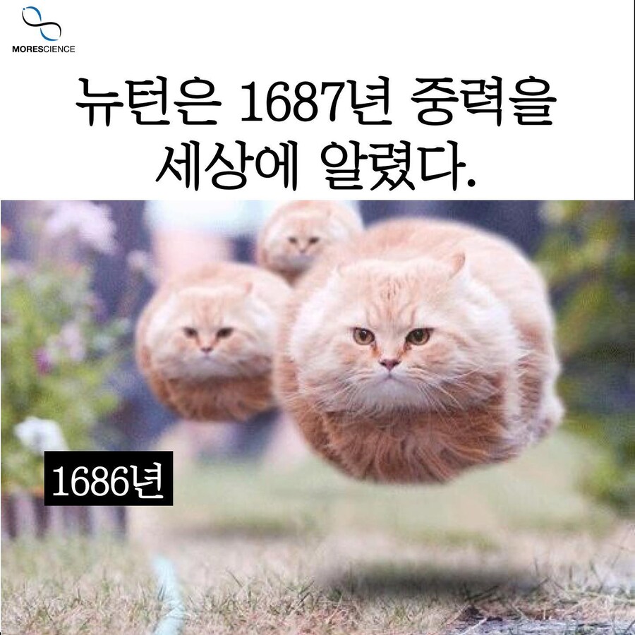뉴턴이 중력을 발명하기 전 1686년까지의 세상.jpg