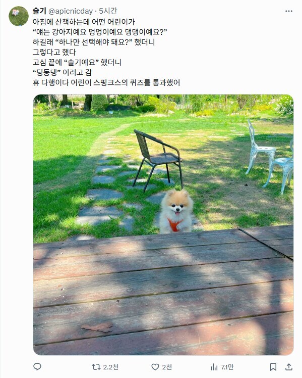 얘는 강아지예요 멍멍이예요 댕댕이예요?.jpg_1.jpg