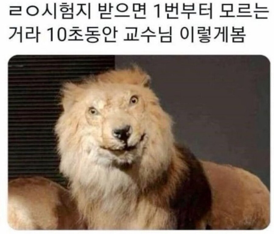 학기말_1.jpg