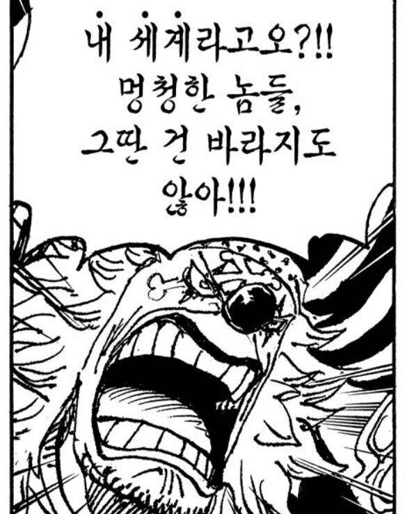 원피스 "힘으로 무릎 꿇리는 자는 하수"_5.jpg